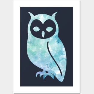 Owl Watercolor Posters and Art